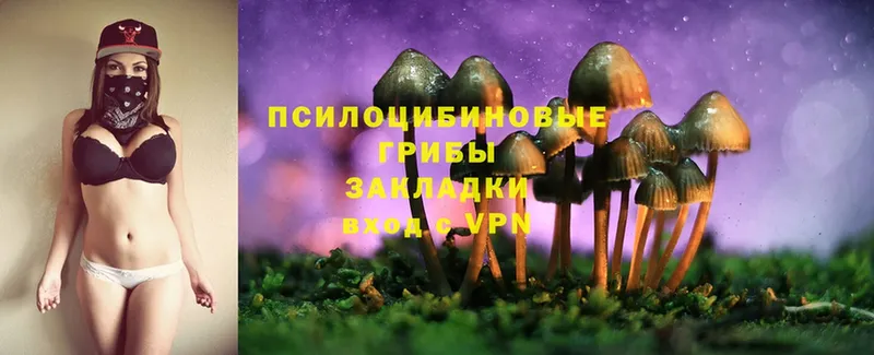 Галлюциногенные грибы Magic Shrooms  Алагир 